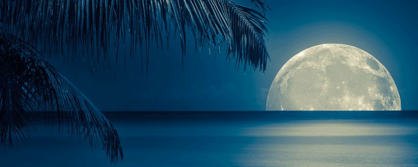 tropical-full-moon