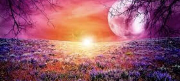 Pink Full Moon – Wonderworks Healing Arts