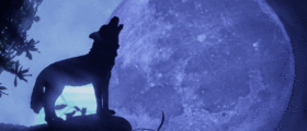 Wolf Moon Awakening –...