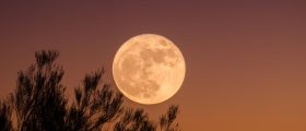 Full Moon in Leo: A Time f...