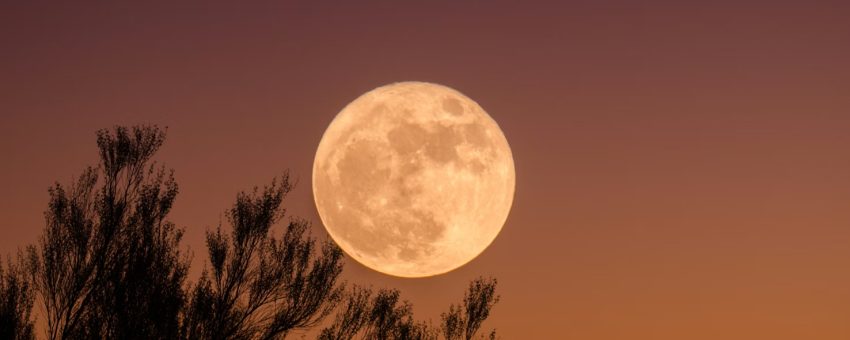 Full Moon in Leo: A Time for Healing, Joy, & Self-Care – Wonderworks Healing Arts