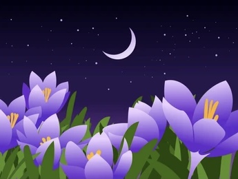 New Moon & Spring Equinox – Balance, Healing & Transformation – Wonderworks Healing Arts