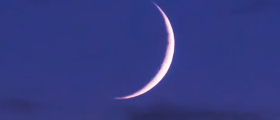 New Moon- Pleasure, Comfor...