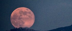 Strawberry Full Moon ̵...