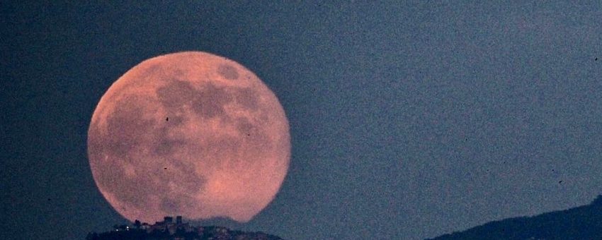 Strawberry Full Moon – Heart Opening – Wonderworks Healing Arts
