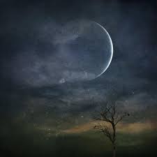 New Moon – Healing & Renewal – Wonderworks Healing Arts