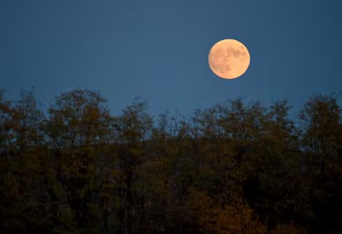 Embrace Full Moon – Ground, Grow & Let Go – Wonderworks Healing Arts